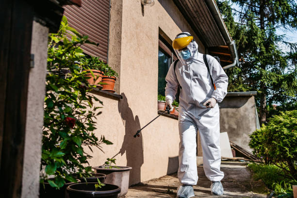 Trusted Appomattox, VA Pest Control Experts
