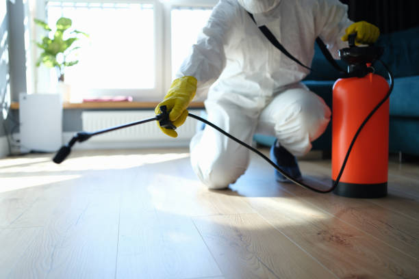 Best Wasp Removal Services  in Appomattox, VA