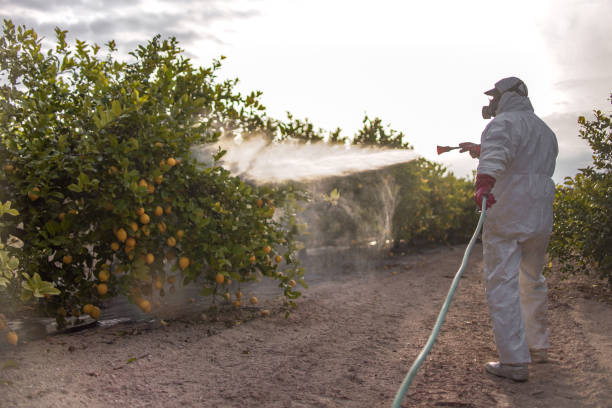 Best Bed Bug Extermination  in Appomattox, VA