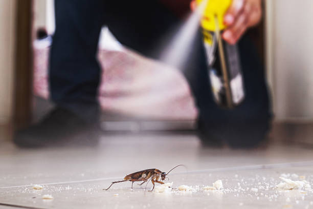 Best Ant Control Services  in Appomattox, VA