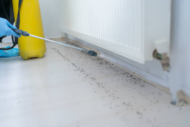 Best Commercial Pest Control Services  in Appomattox, VA
