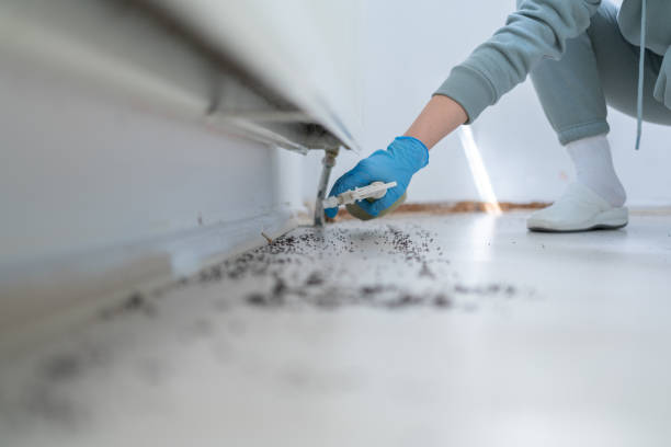 Pest Control for Restaurants in Appomattox, VA