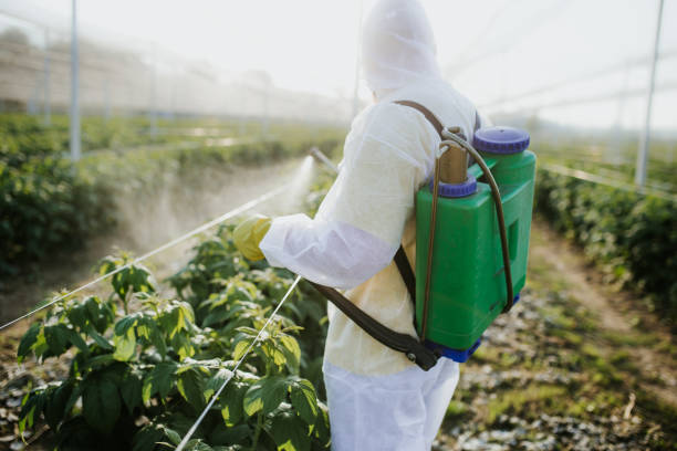 Best Termite Control Services  in Appomattox, VA